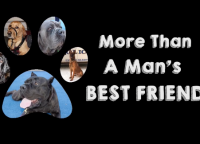 More Than a Man's Best Friend